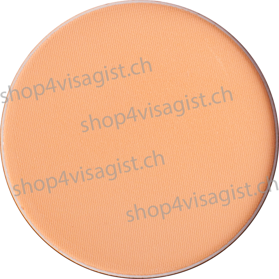 Purchase Kryolan Cake Make-Up 522, 35g Online at Special Price in Pakistan